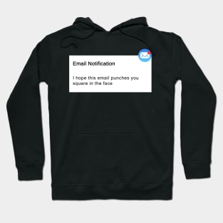 I Hope This Email Punches You In The Face Hoodie